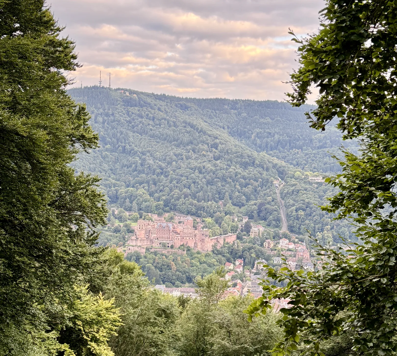 Ich höre zu – ein Jahr im Schweigen