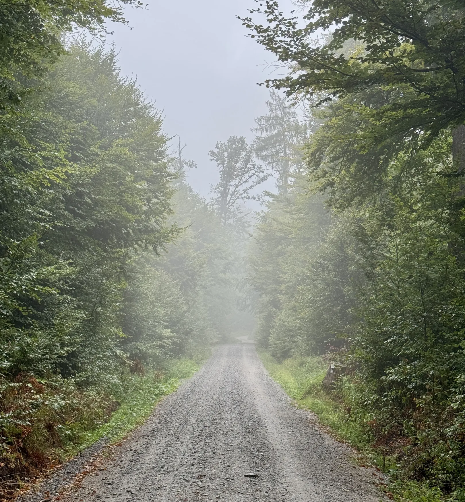 Ich höre zu – ein Jahr im Schweigen