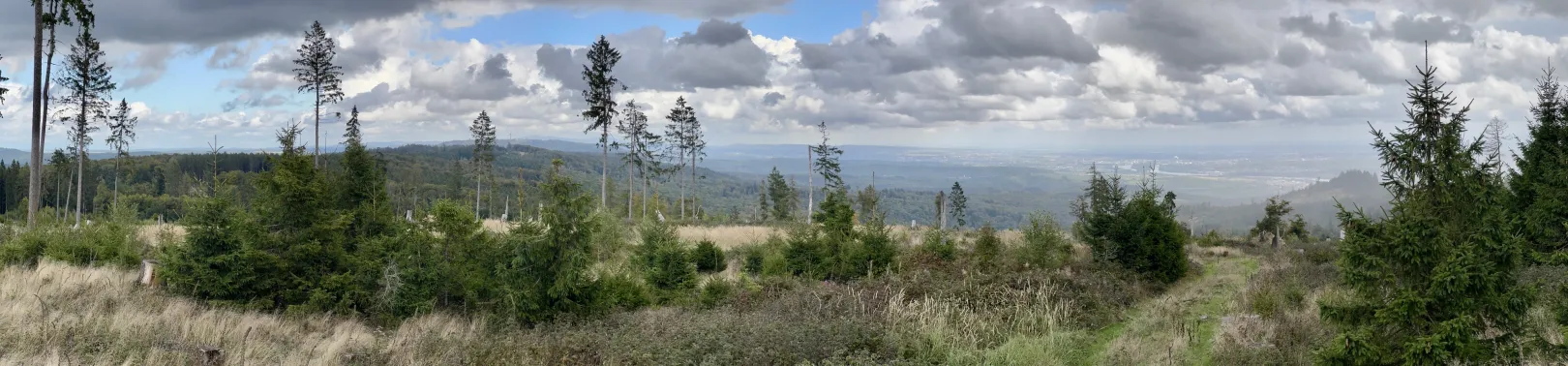 Ich höre zu – ein Jahr im Schweigen