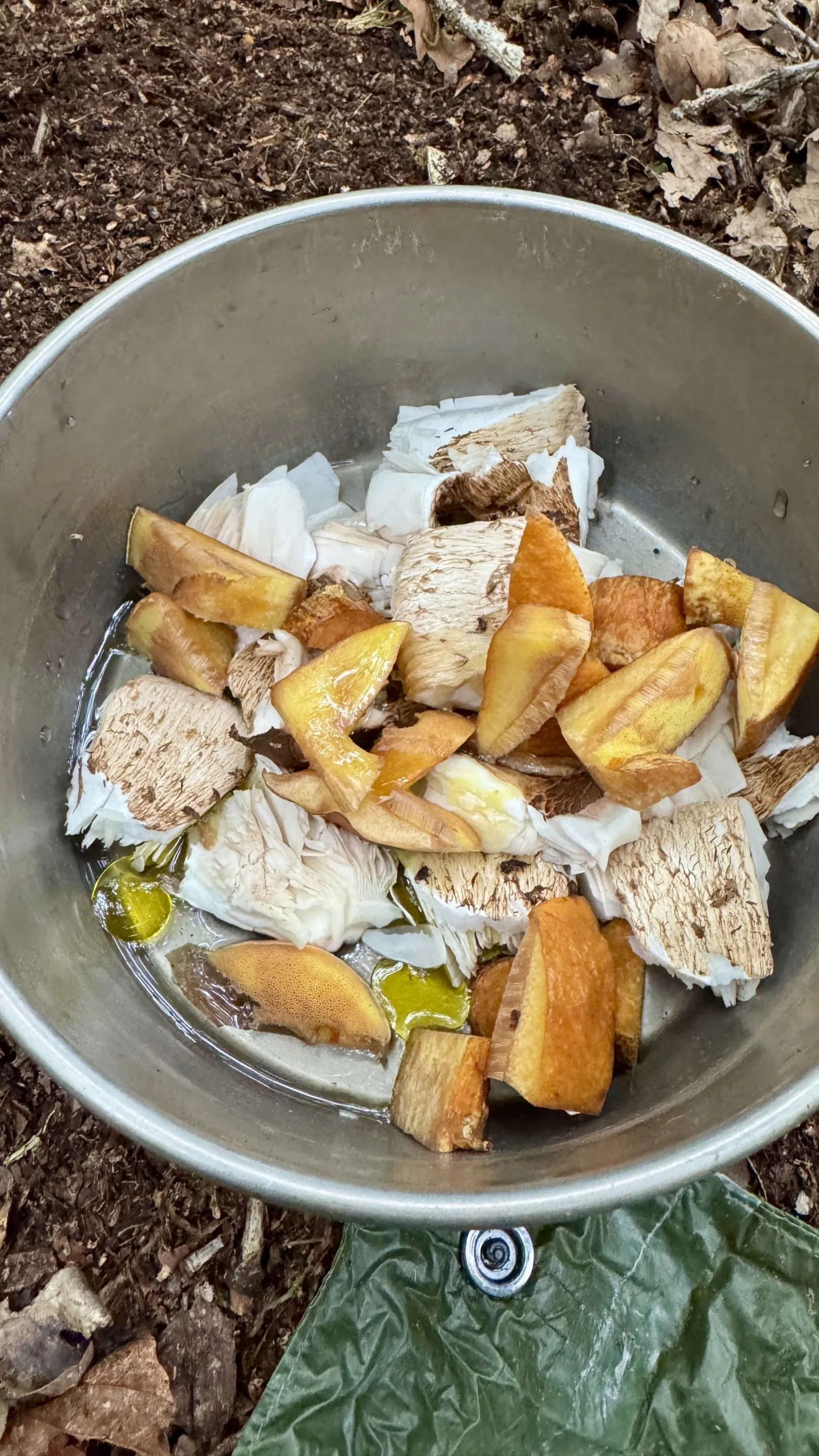 Ich höre zu – ein Jahr im Schweigen