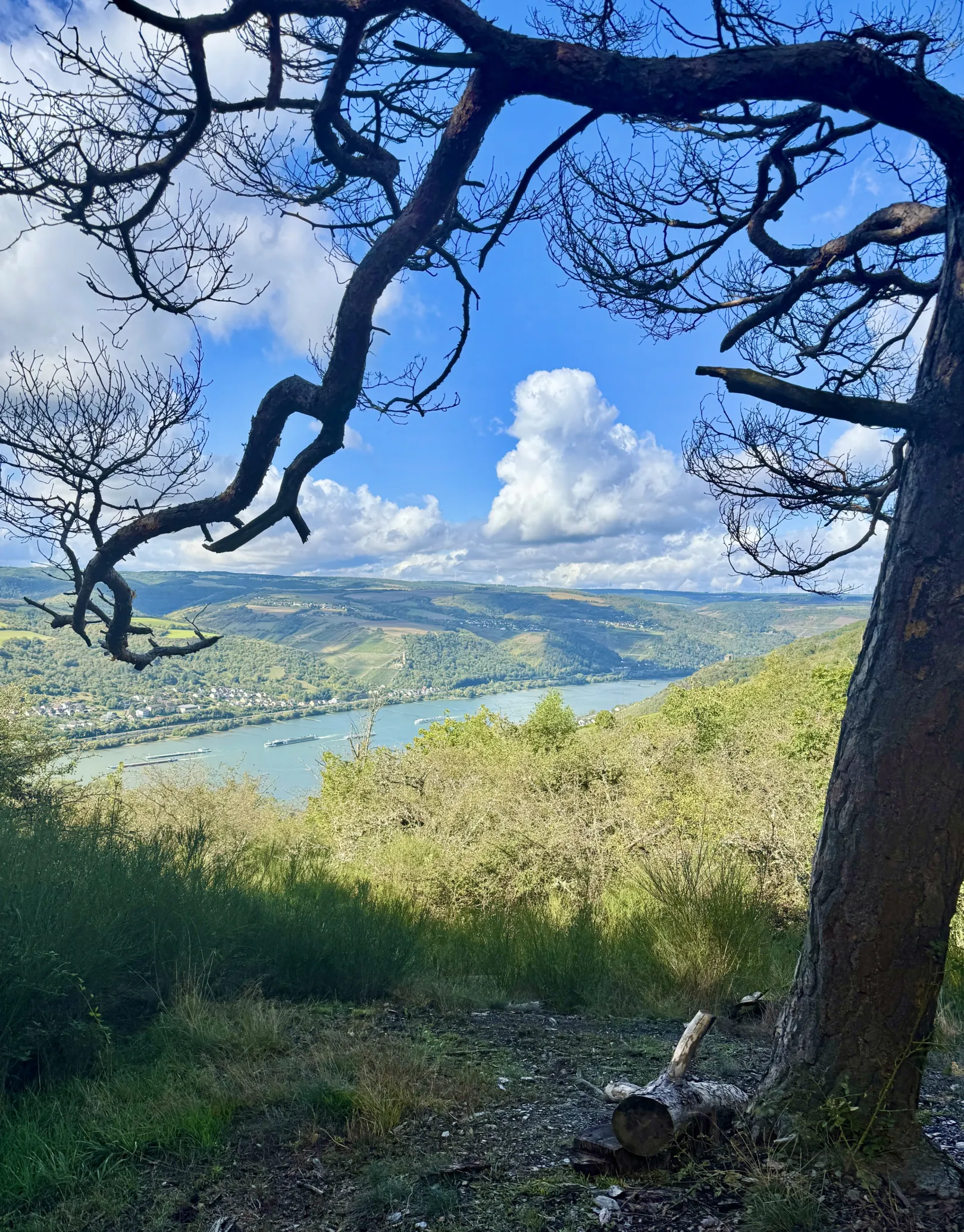 Ich höre zu – ein Jahr im Schweigen