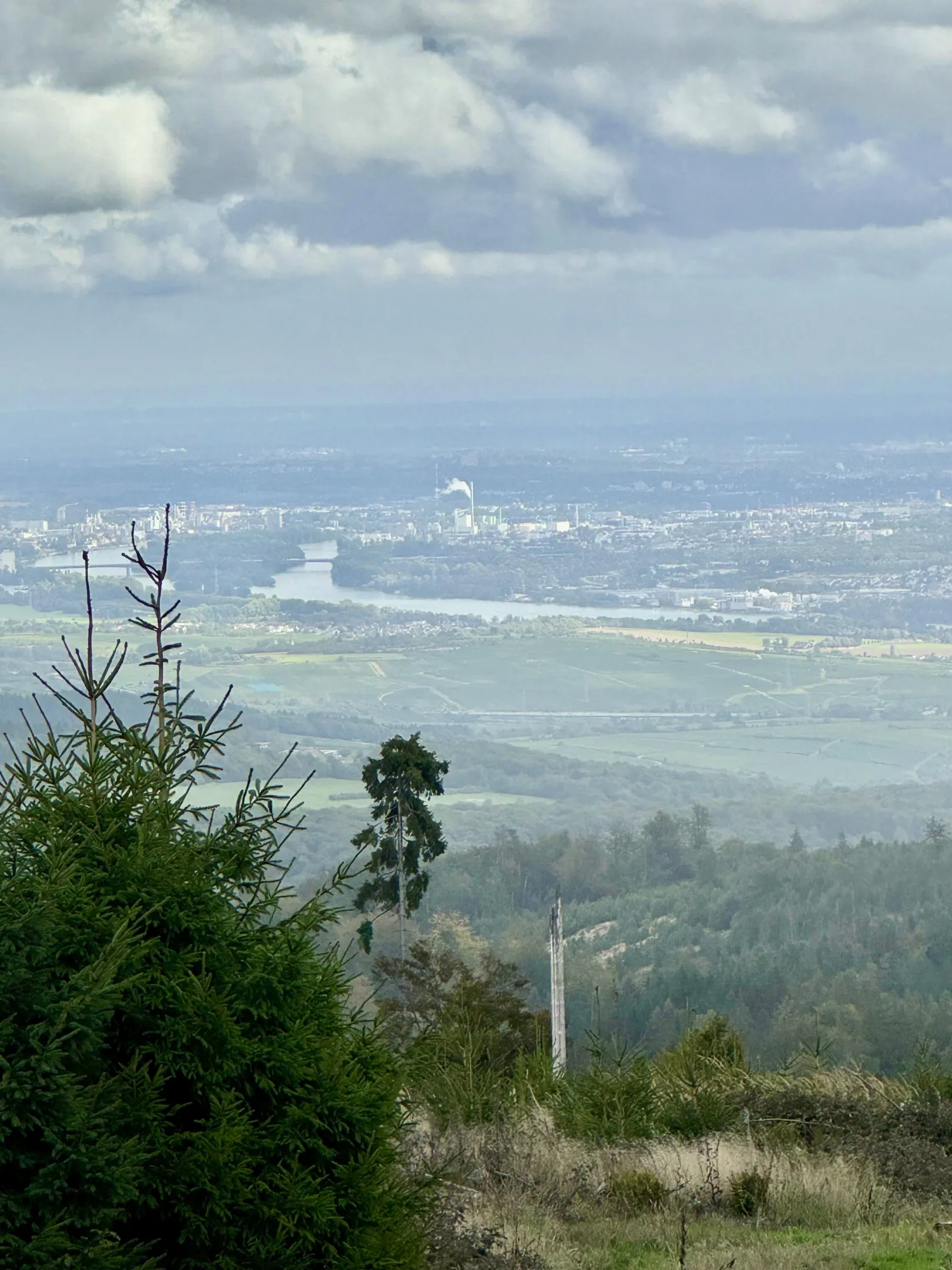 Ich höre zu – ein Jahr im Schweigen