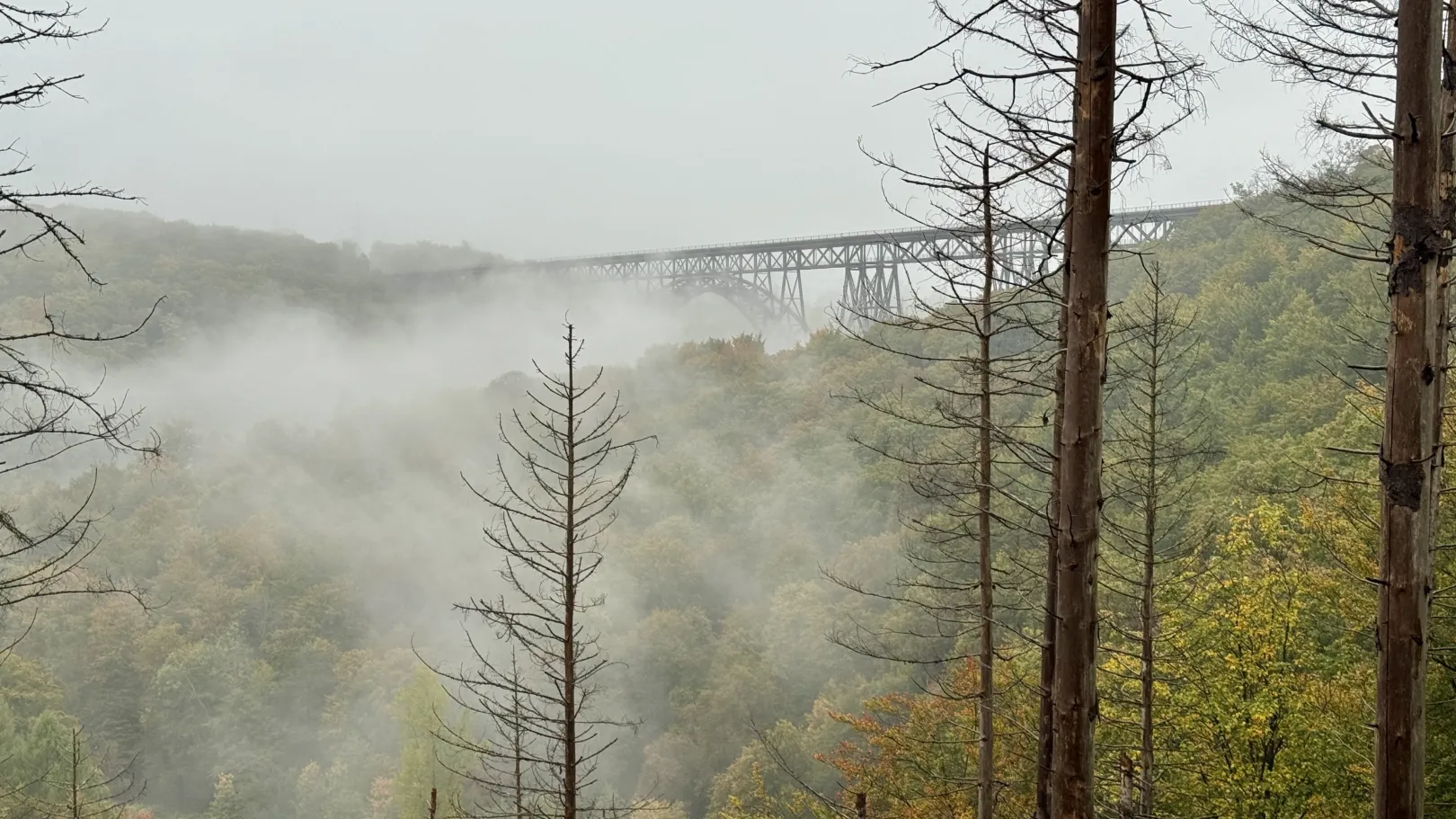 Ich höre zu – ein Jahr im Schweigen
