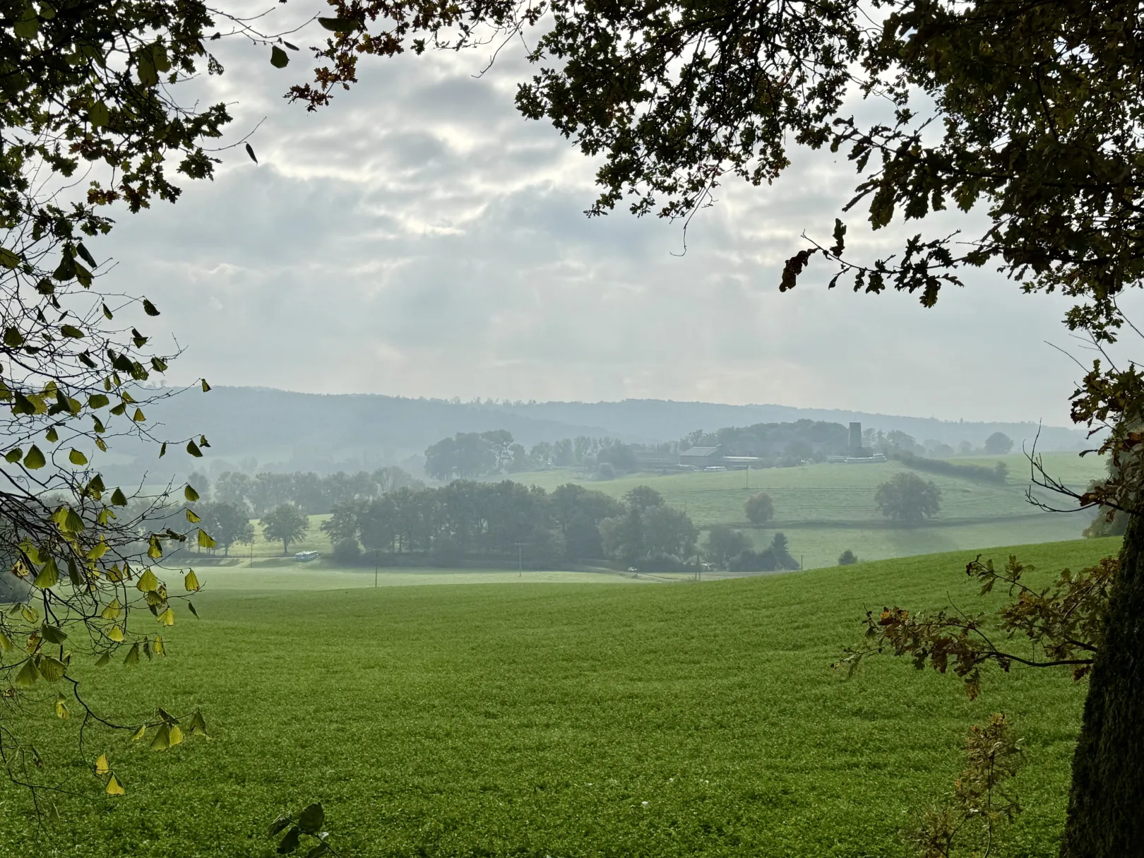 Ich höre zu – ein Jahr im Schweigen