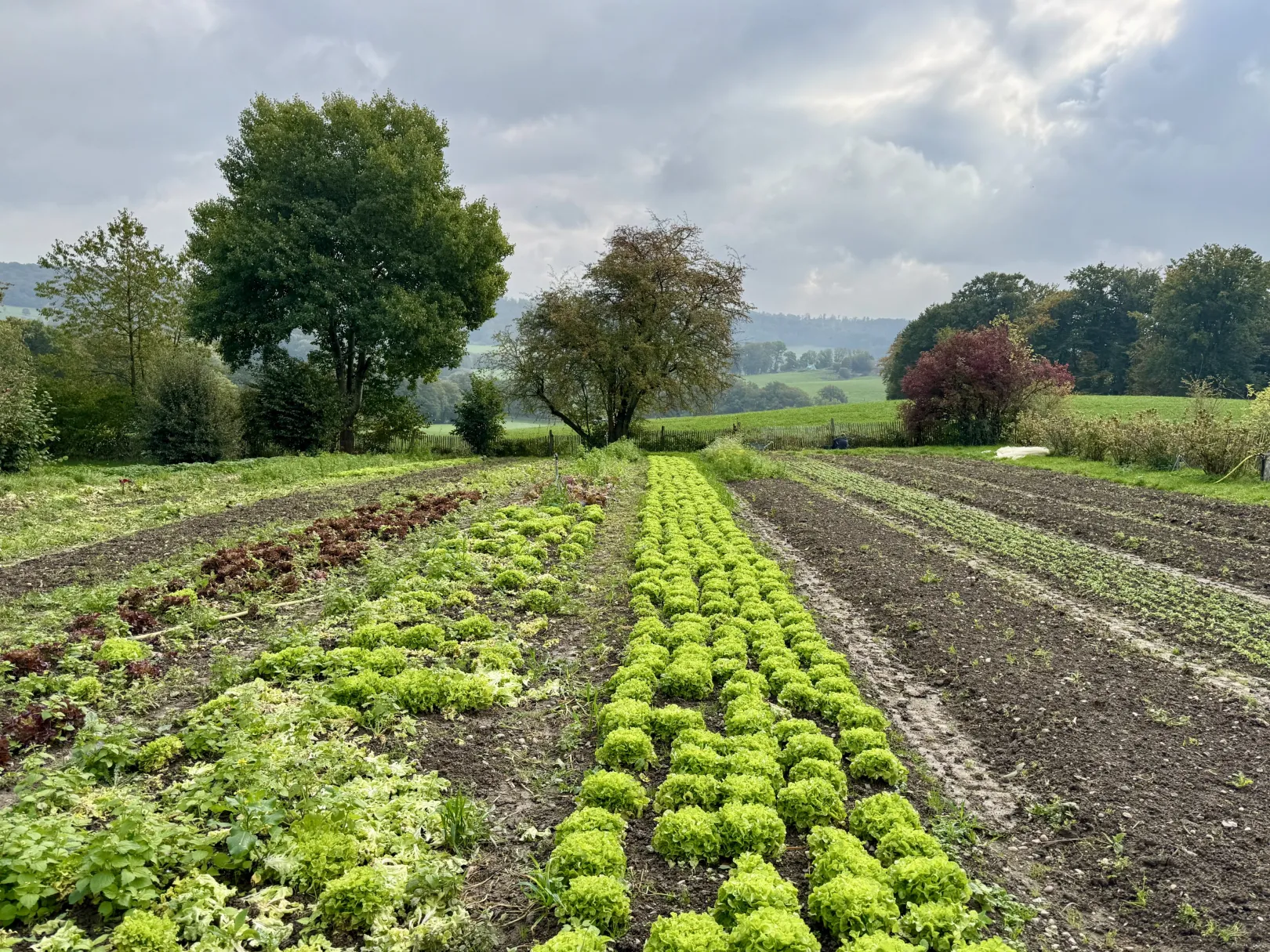 Ich höre zu – ein Jahr im Schweigen
