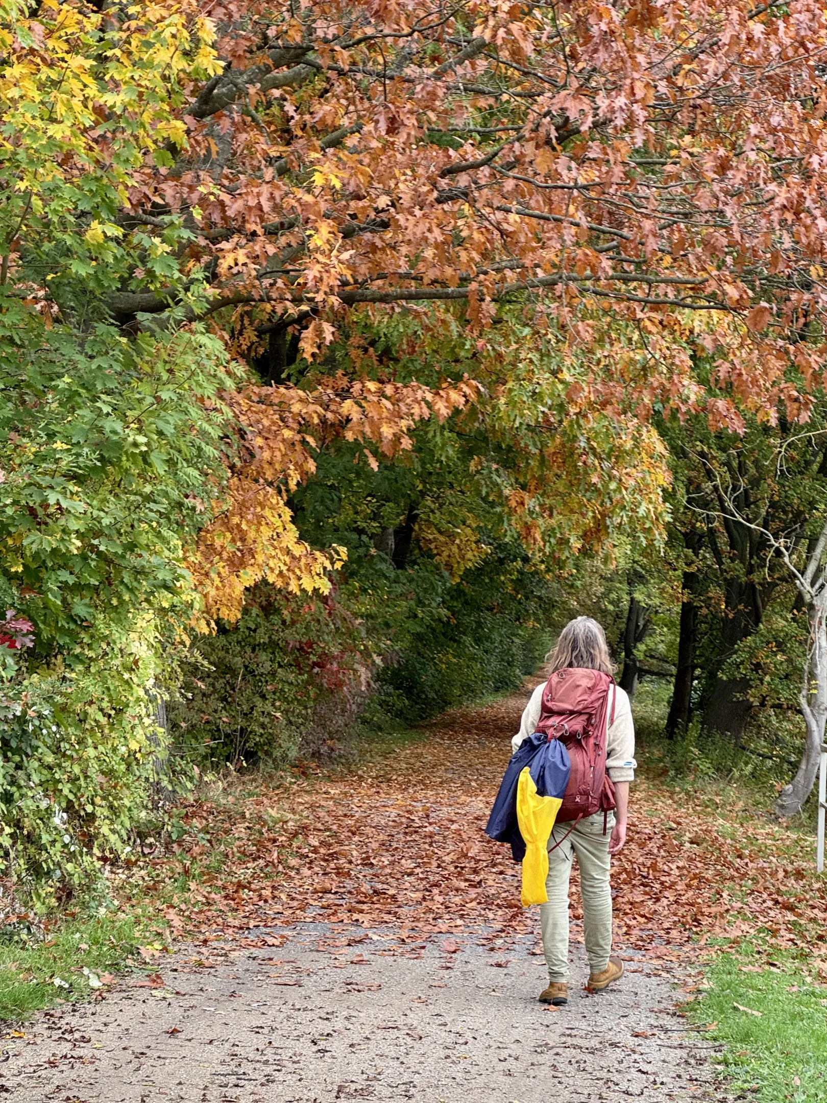 Ich höre zu – ein Jahr im Schweigen