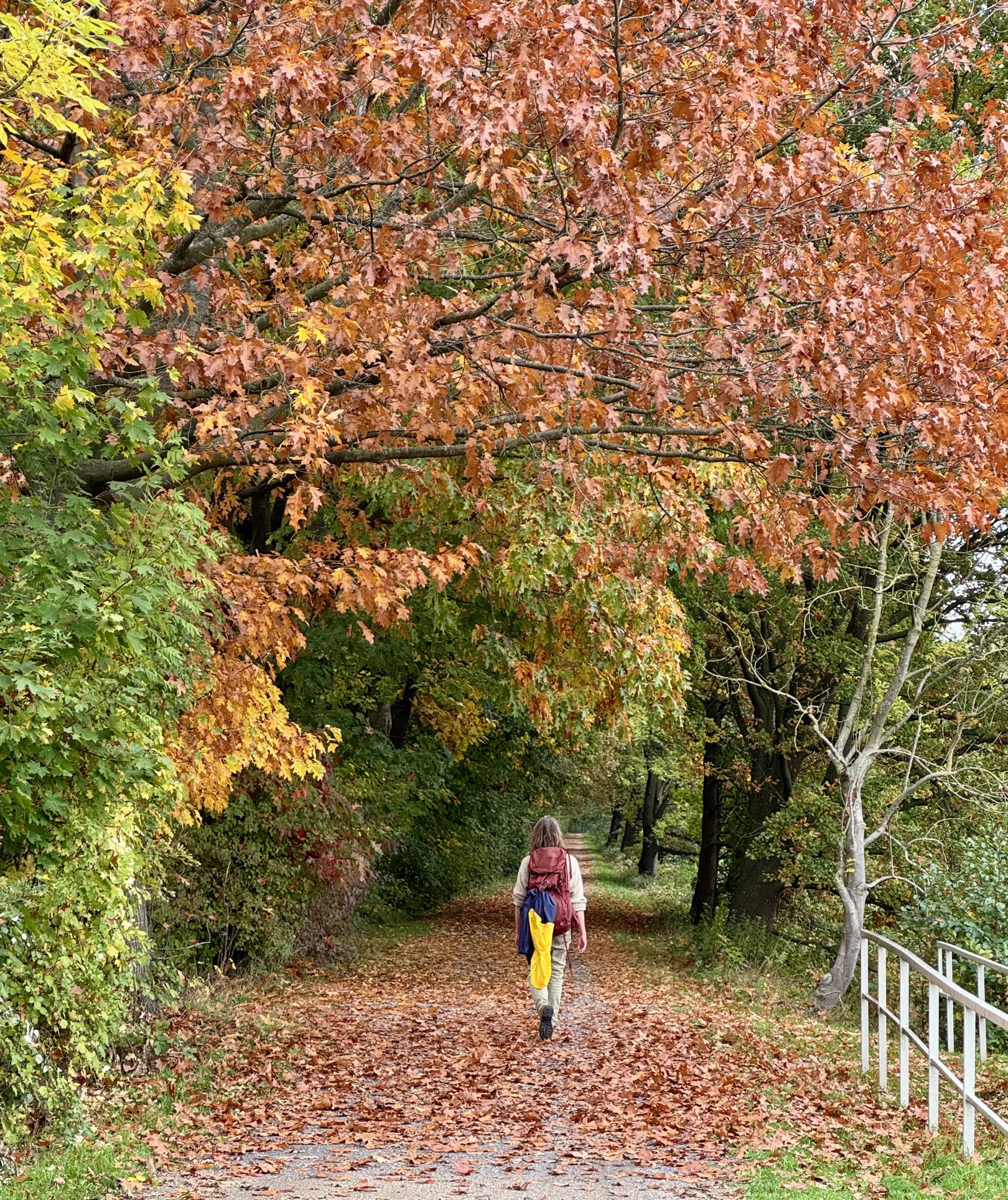 Ich höre zu – ein Jahr im Schweigen