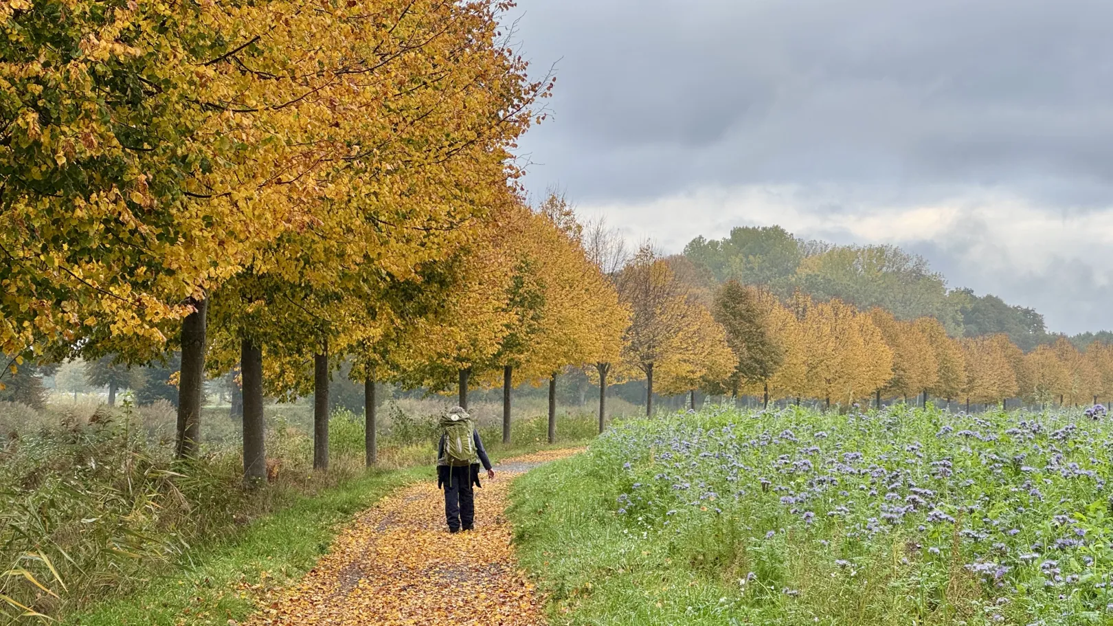 Ich höre zu – ein Jahr im Schweigen