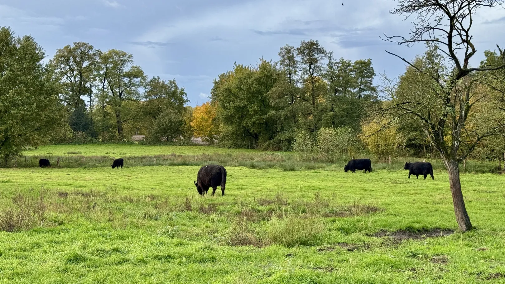 Ich höre zu – ein Jahr im Schweigen