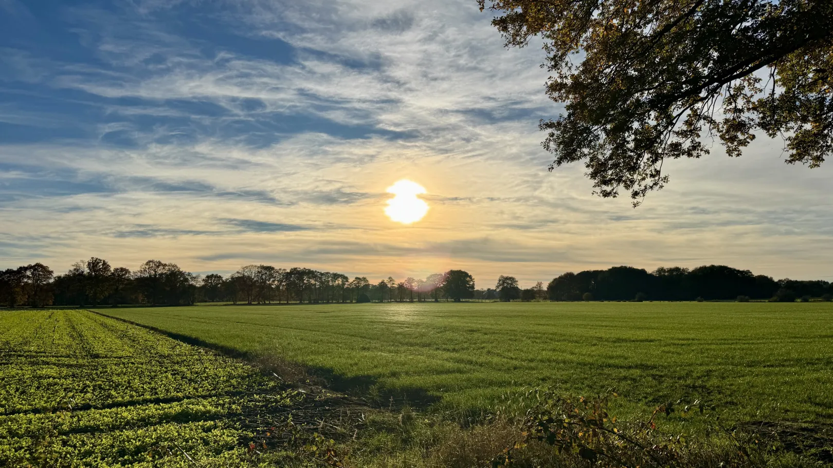 Ich höre zu – ein Jahr im Schweigen