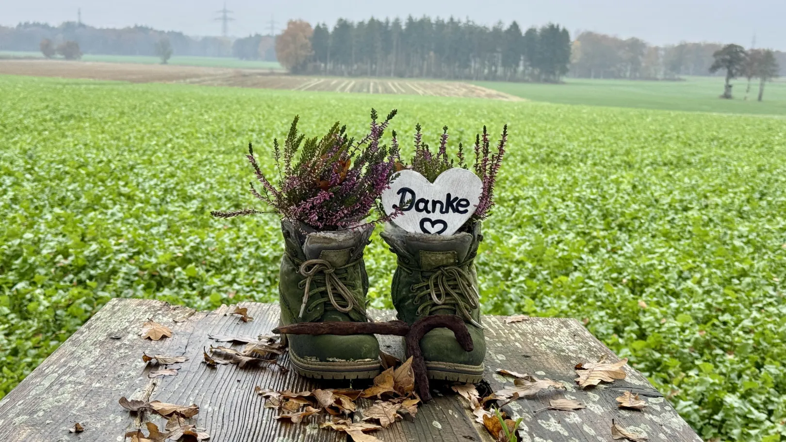 Ich höre zu – ein Jahr im Schweigen