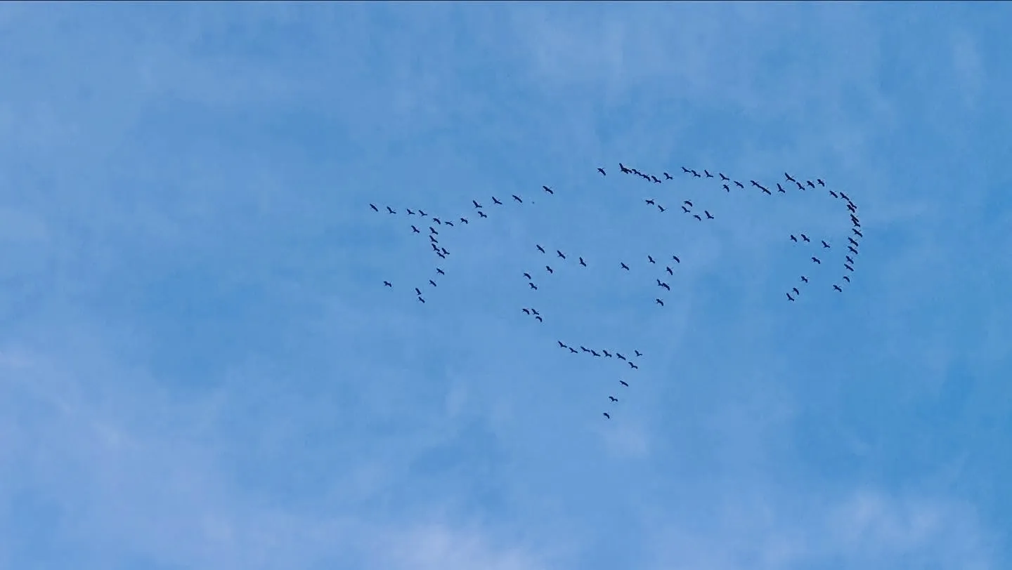 Ich höre zu – ein Jahr im Schweigen