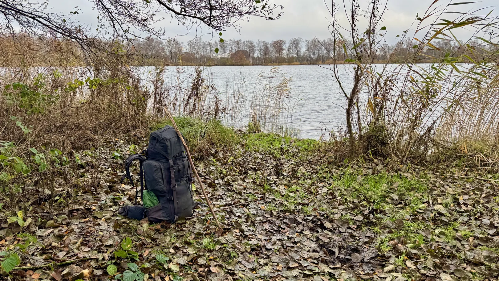 Ich höre zu – ein Jahr im Schweigen