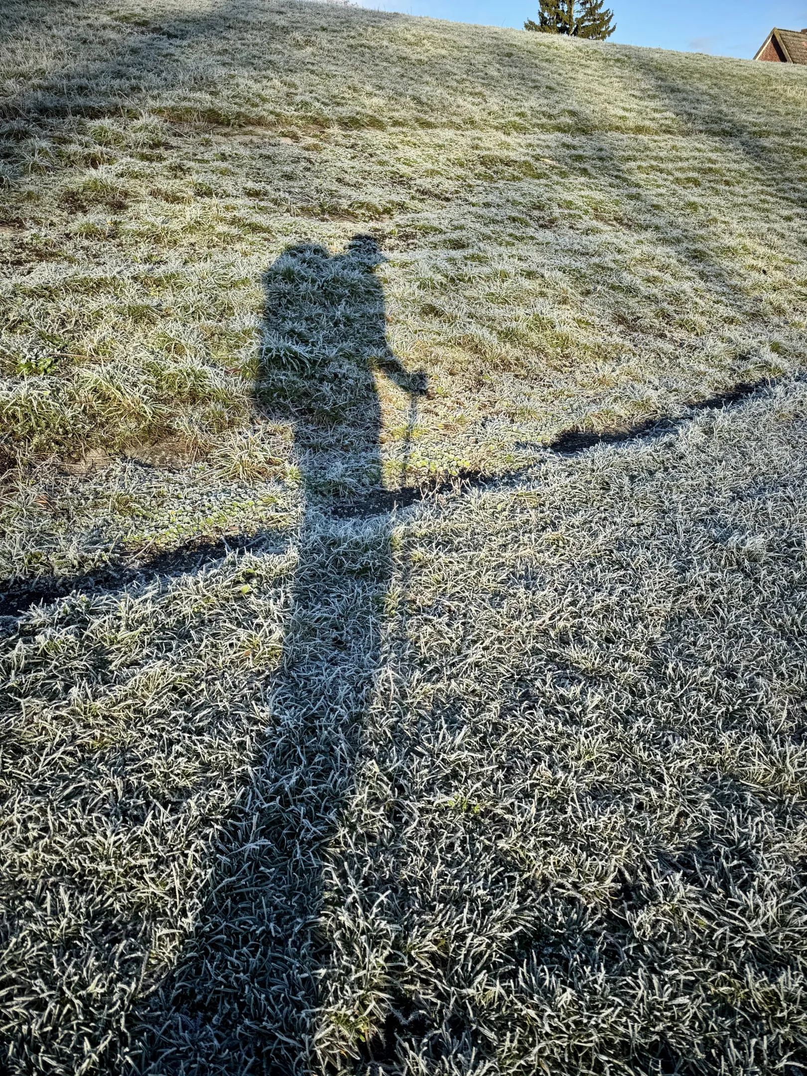 Ich höre zu – ein Jahr im Schweigen