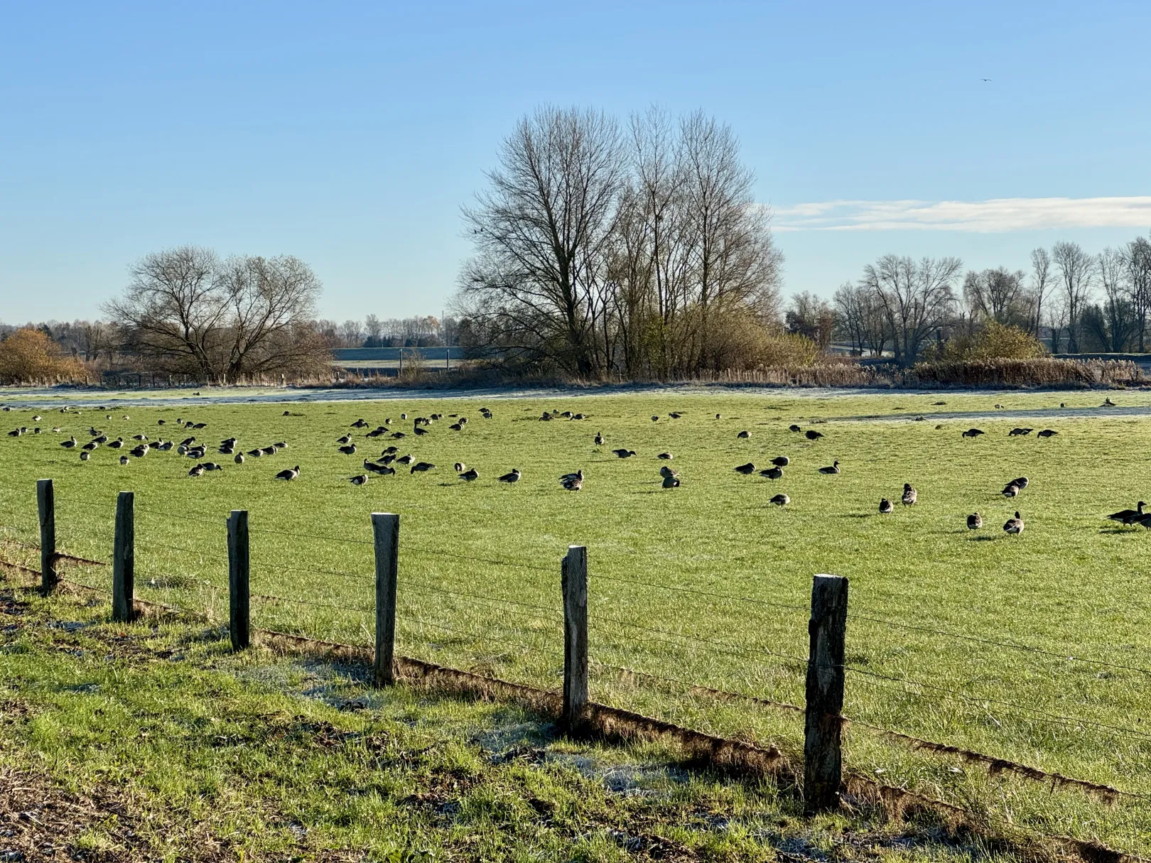 Ich höre zu – ein Jahr im Schweigen