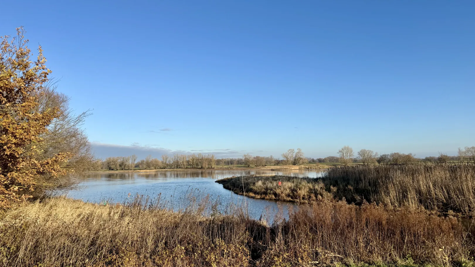 Ich höre zu – ein Jahr im Schweigen