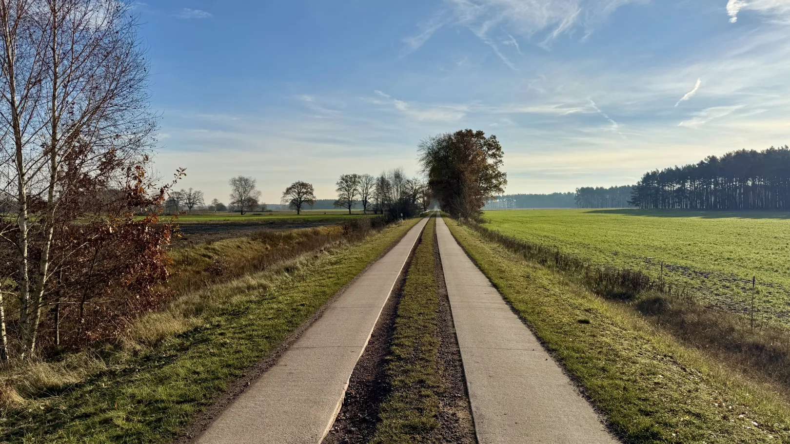 Ich höre zu – ein Jahr im Schweigen