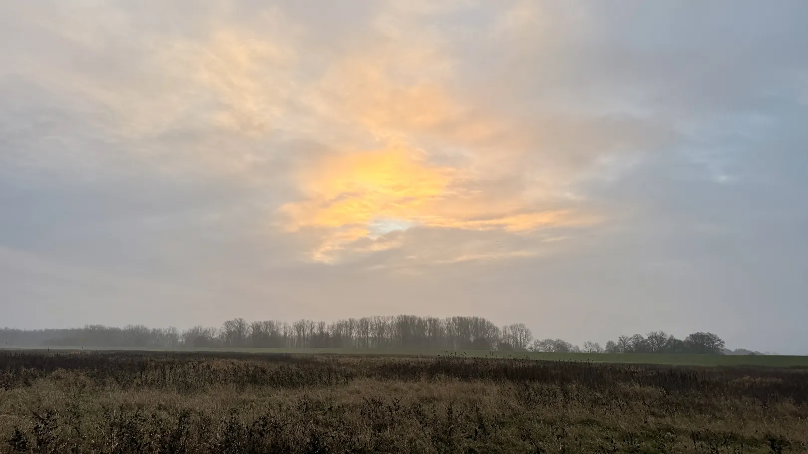 Ich höre zu – ein Jahr im Schweigen