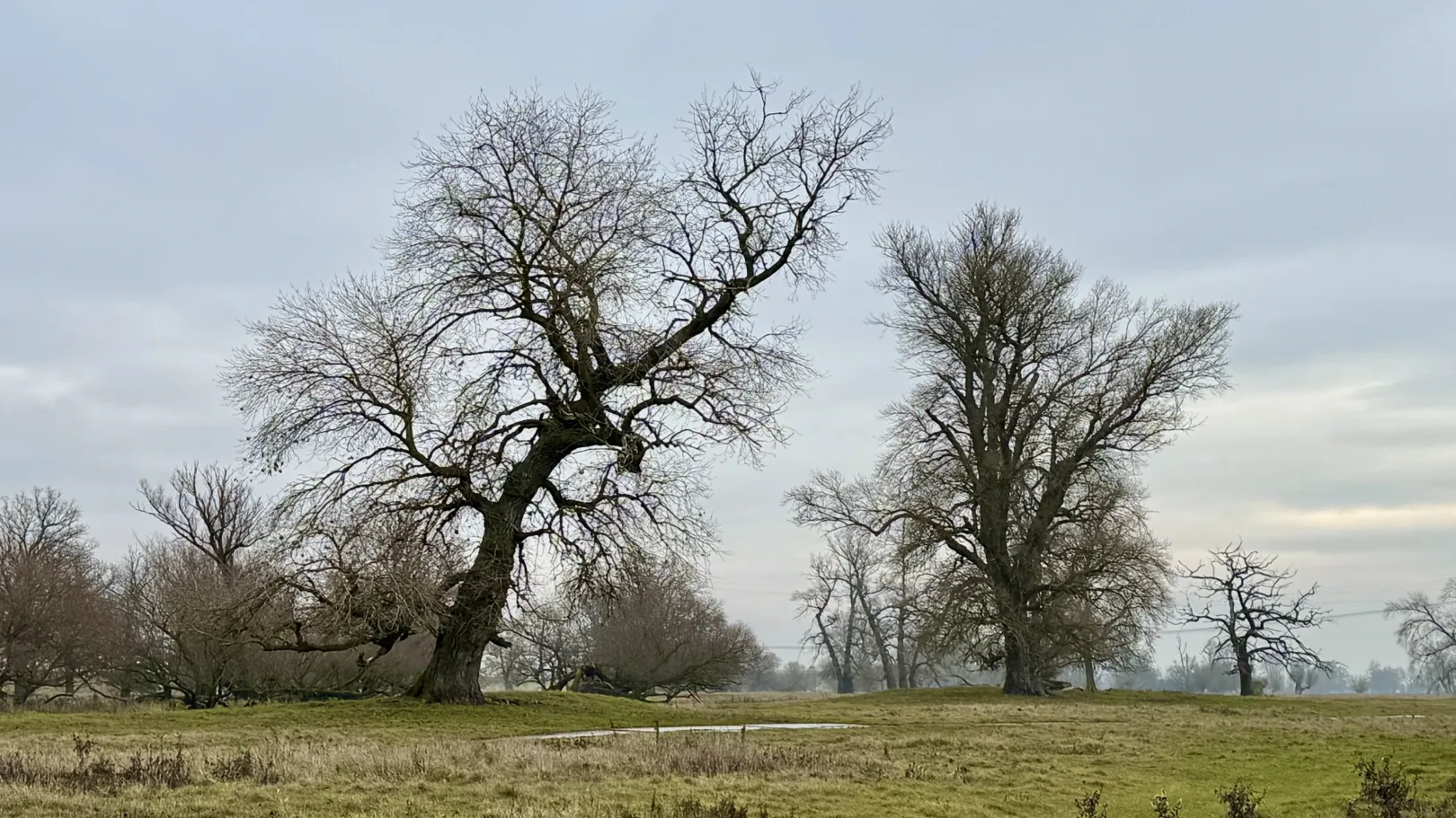Ich höre zu – ein Jahr im Schweigen