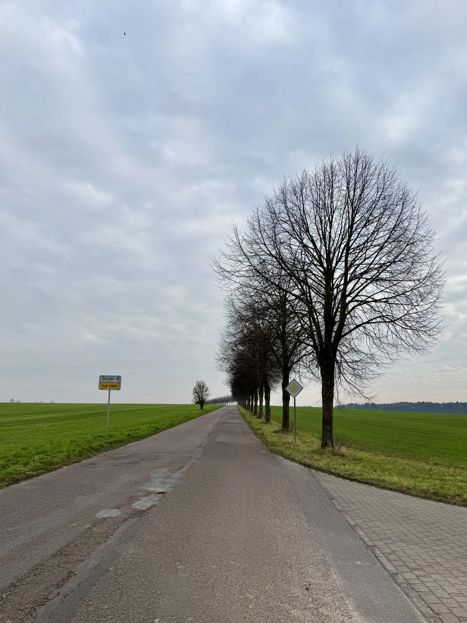 Ich höre zu – ein Jahr im Schweigen