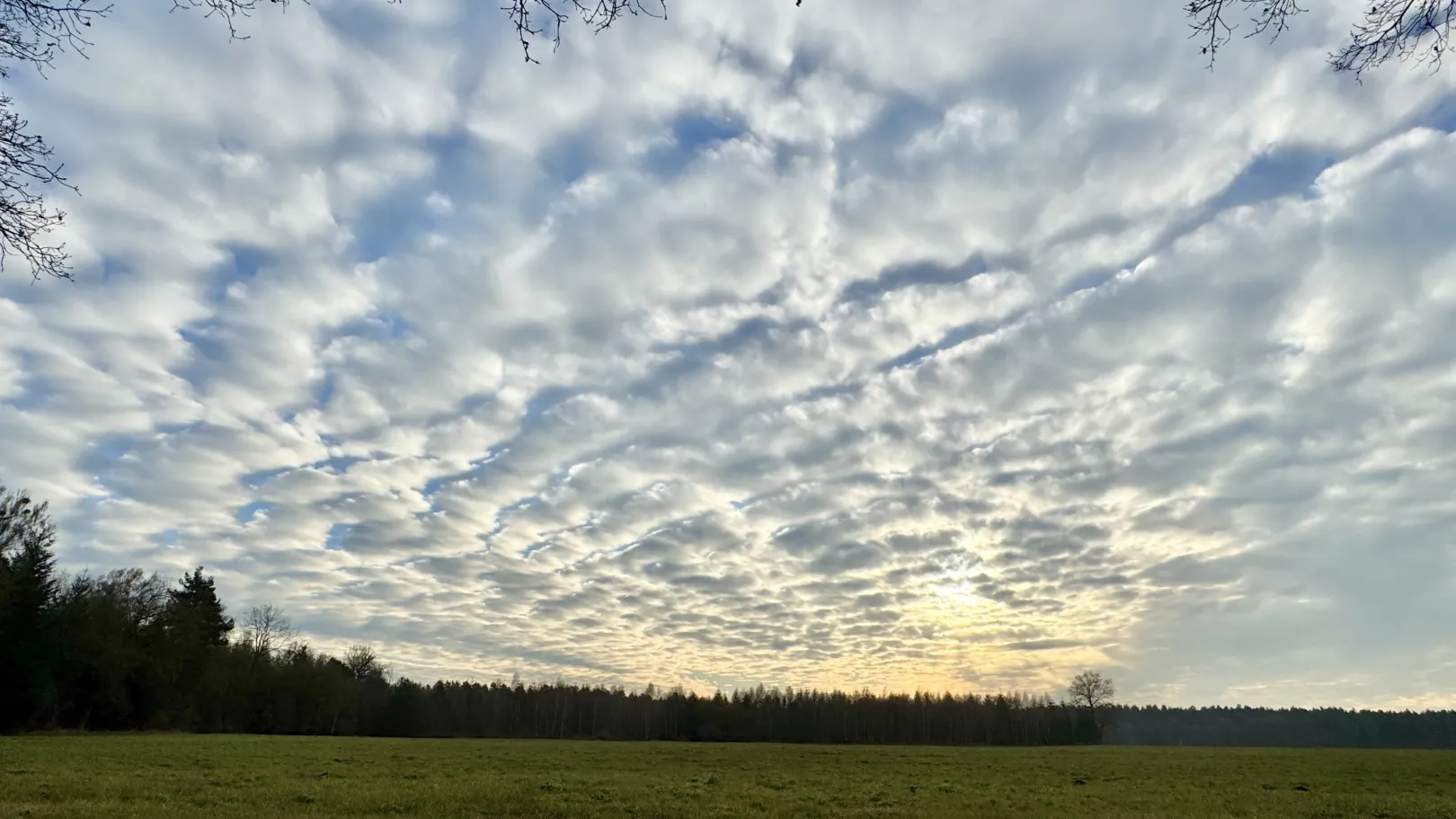 Ich höre zu – ein Jahr im Schweigen
