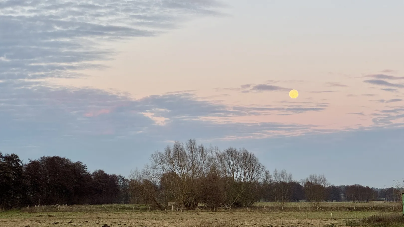 Ich höre zu – ein Jahr im Schweigen