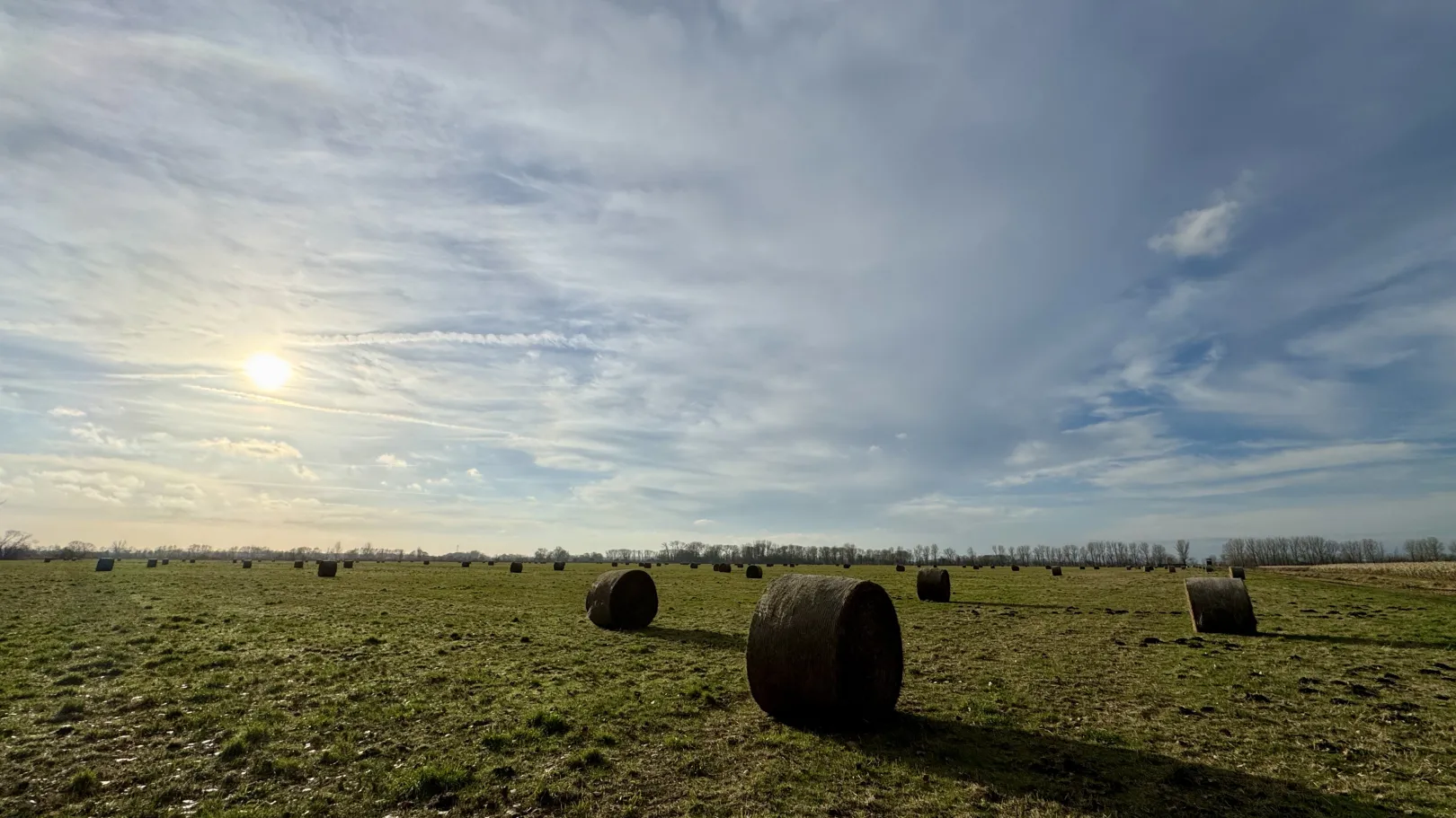 Ich höre zu – ein Jahr im Schweigen