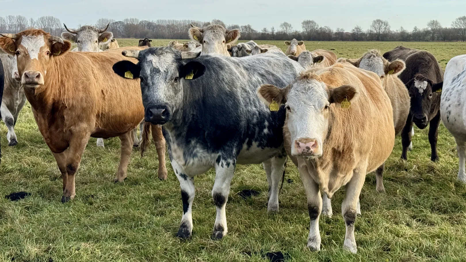 Ich höre zu – ein Jahr im Schweigen