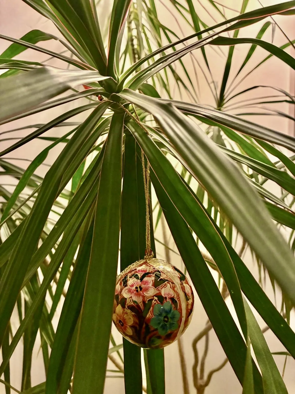 Ich höre zu – ein Jahr im Schweigen