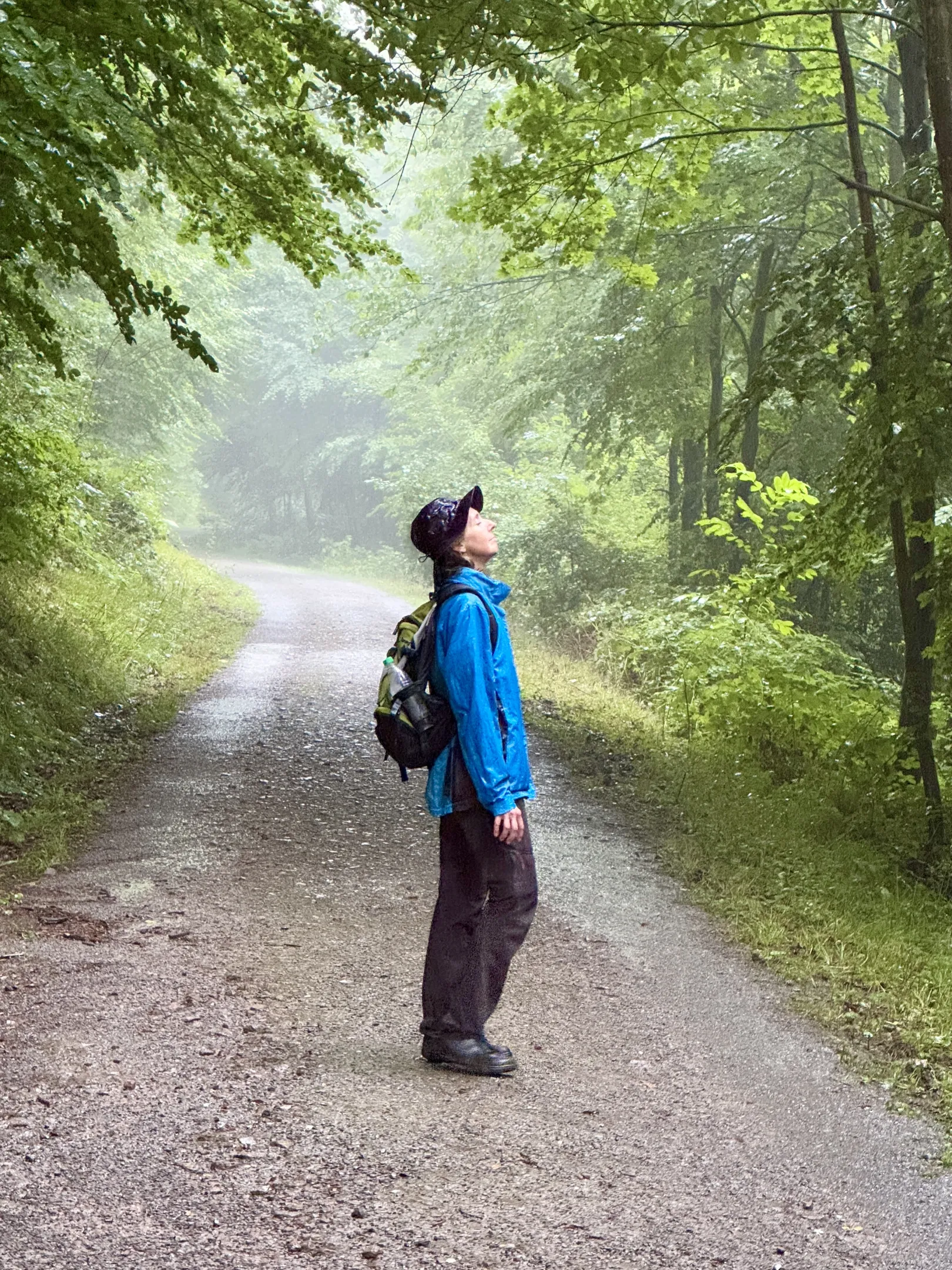 Ich höre zu – ein Jahr im Schweigen - Walk in Silence