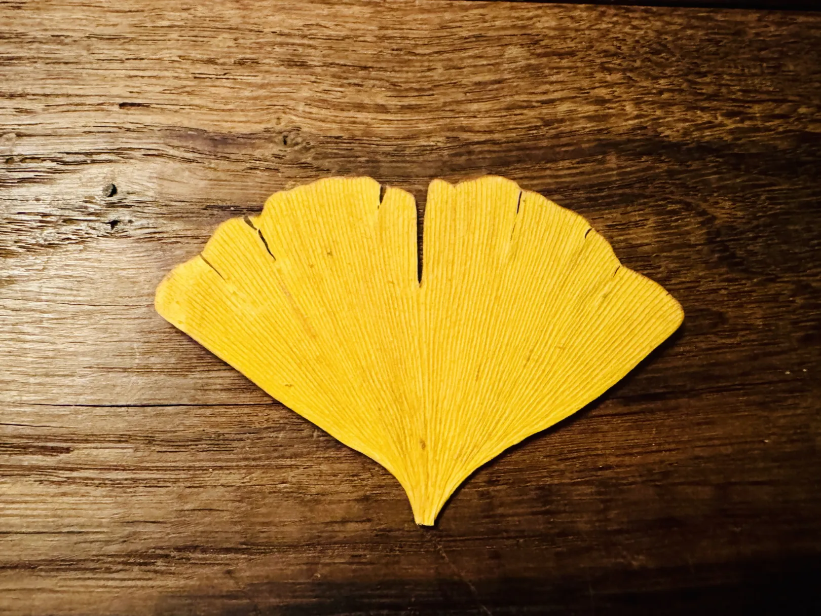 Ich höre zu – ein Jahr im Schweigen