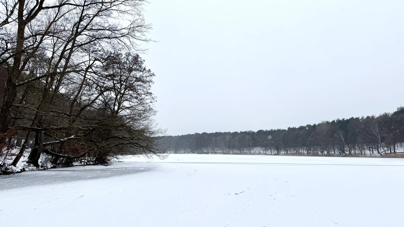 Ich höre zu – ein Jahr im Schweigen