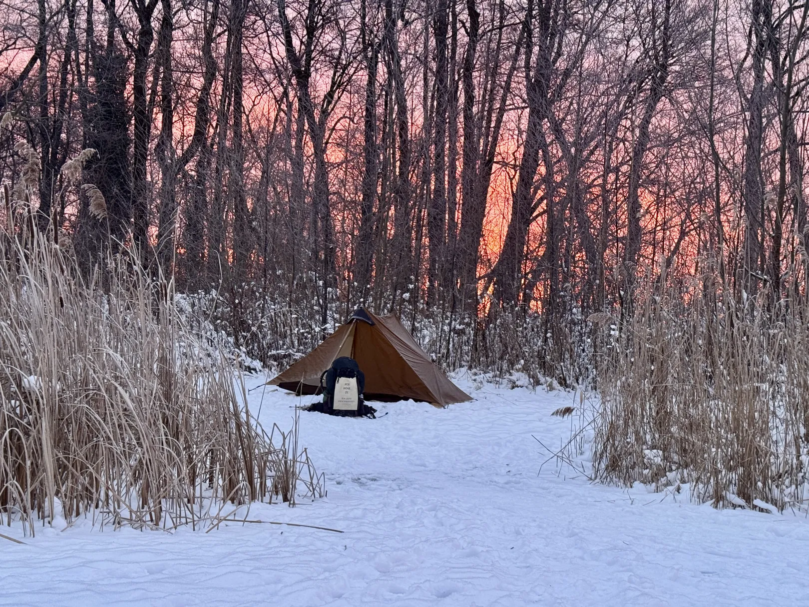 Ich höre zu – ein Jahr im Schweigen