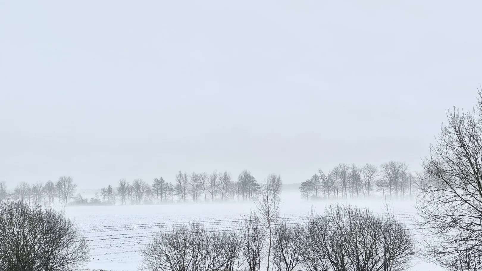 Ich höre zu – ein Jahr im Schweigen