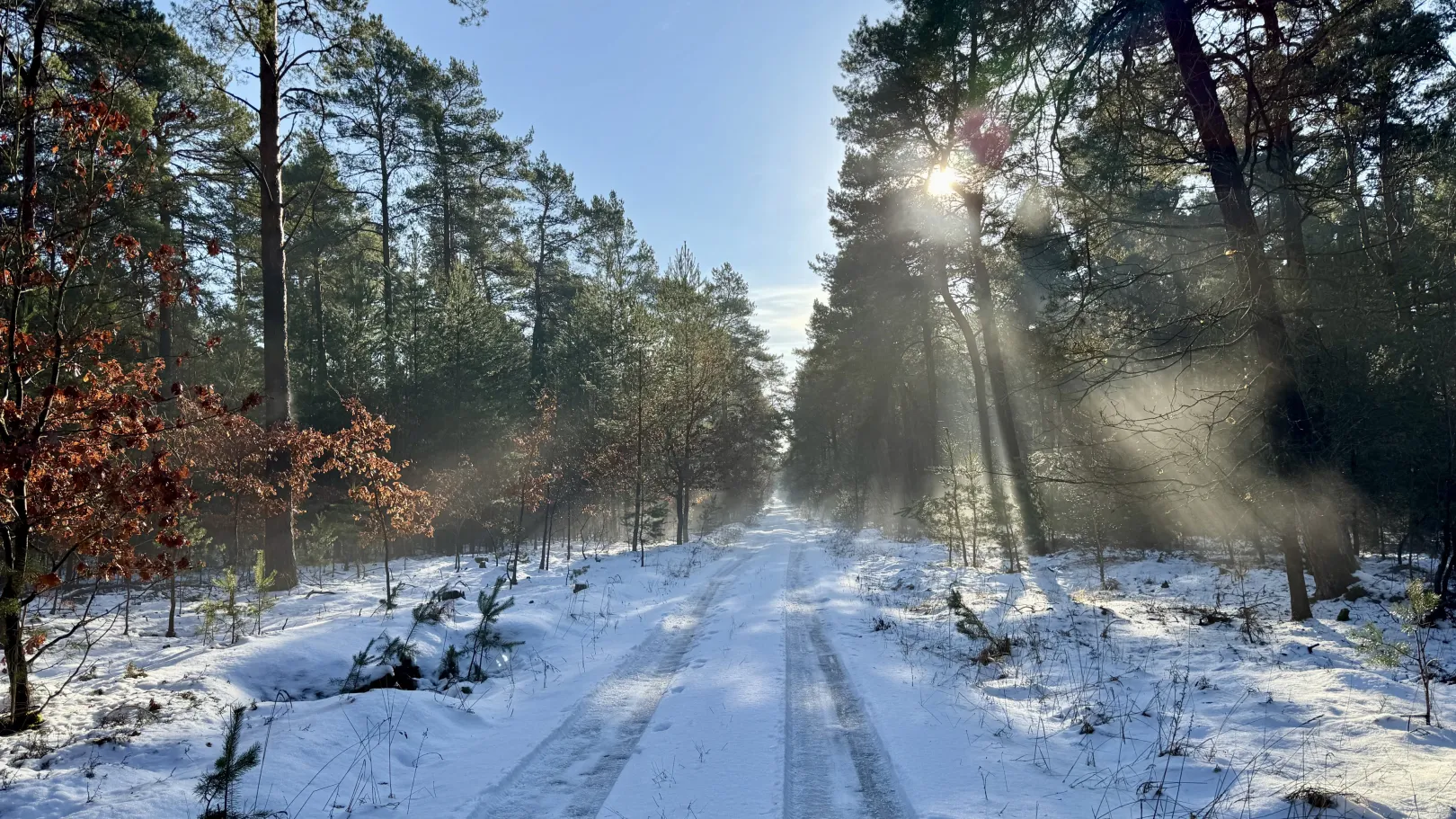 Ich höre zu – ein Jahr im Schweigen
