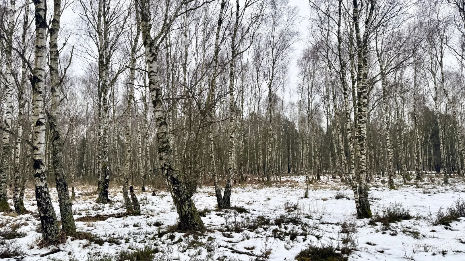 Ich höre zu – ein Jahr im Schweigen