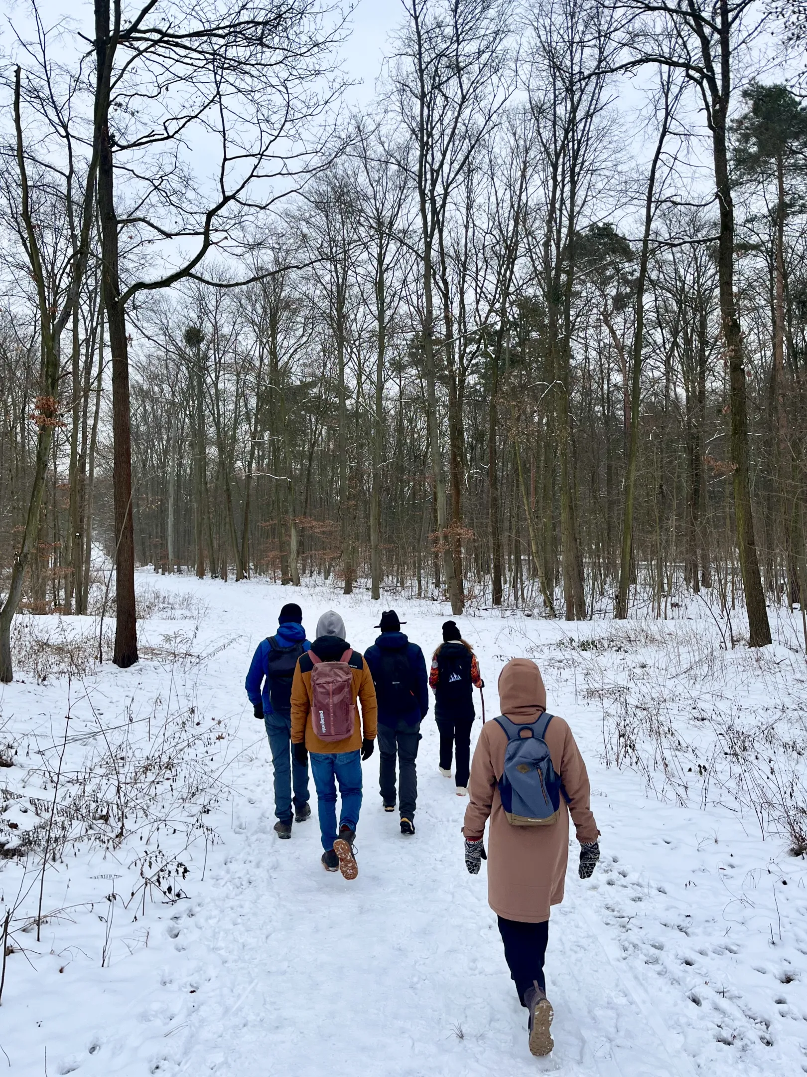 Ich höre zu – ein Jahr im Schweigen