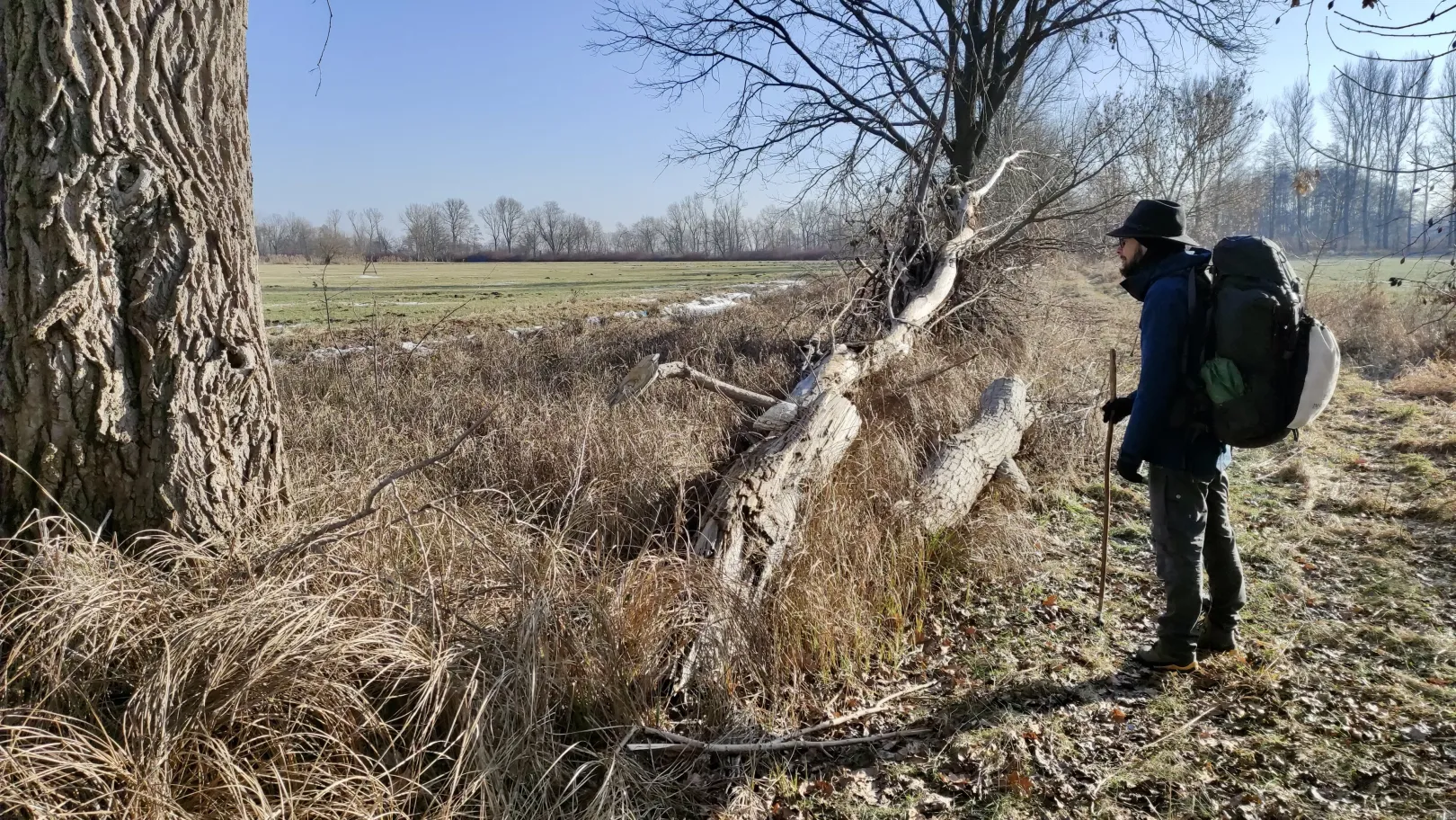 Ich höre zu – ein Jahr im Schweigen