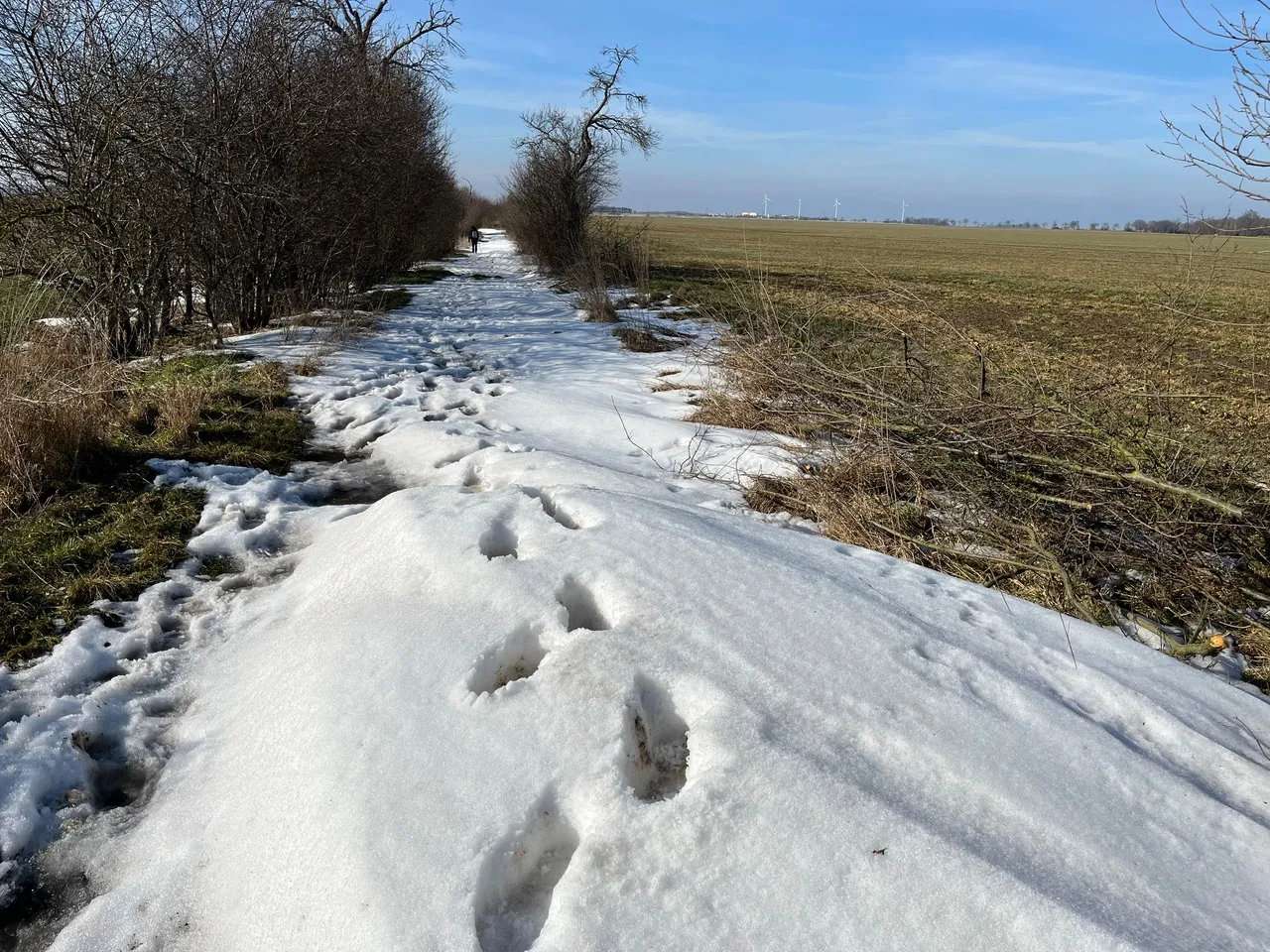 Ich höre zu – ein Jahr im Schweigen