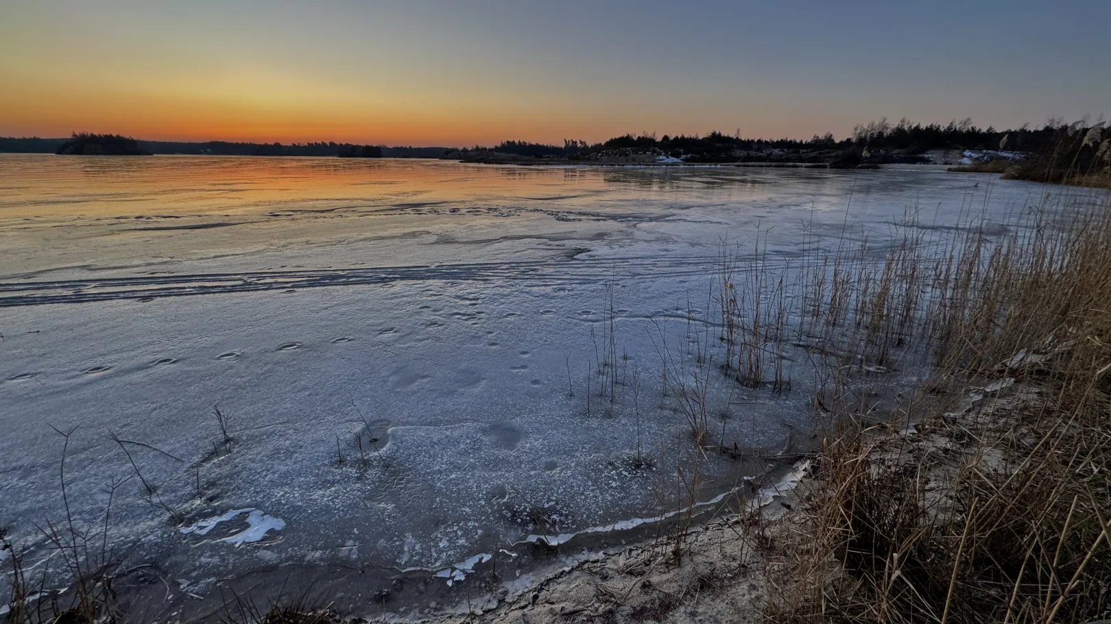 Ich höre zu – ein Jahr im Schweigen