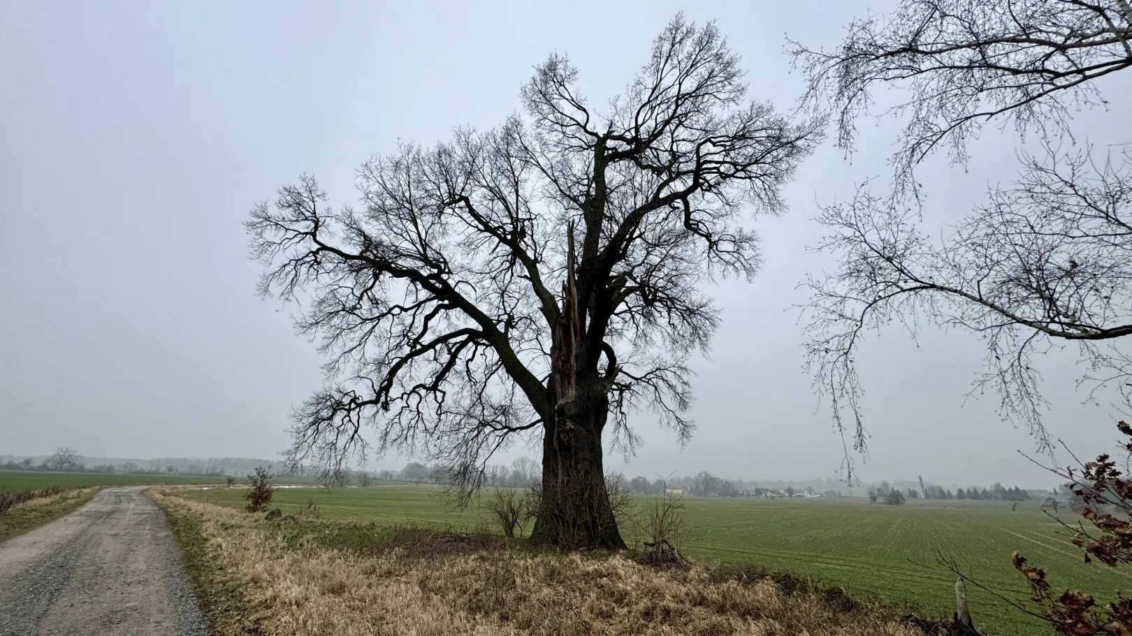 Ich höre zu – ein Jahr im Schweigen