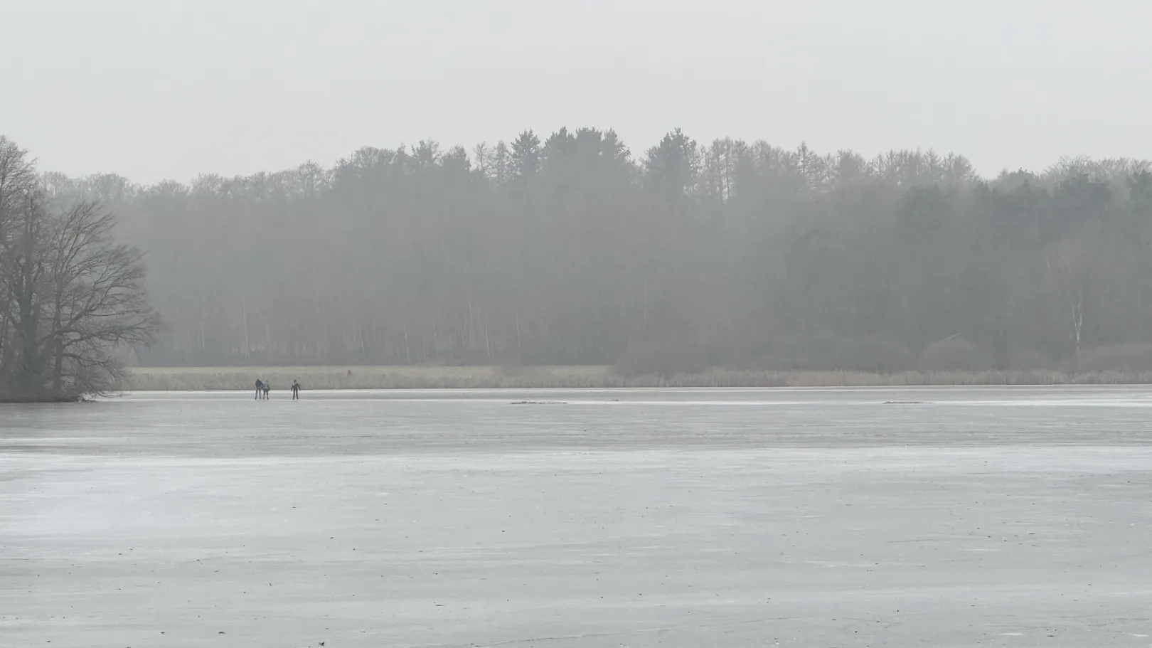 Ich höre zu – ein Jahr im Schweigen