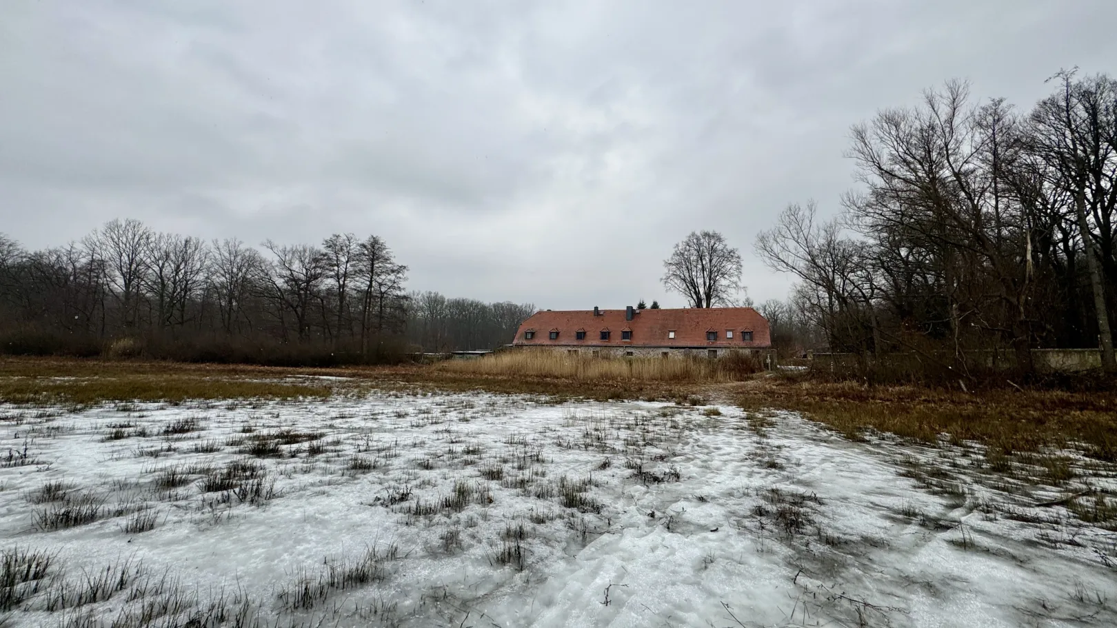 Ich höre zu – ein Jahr im Schweigen