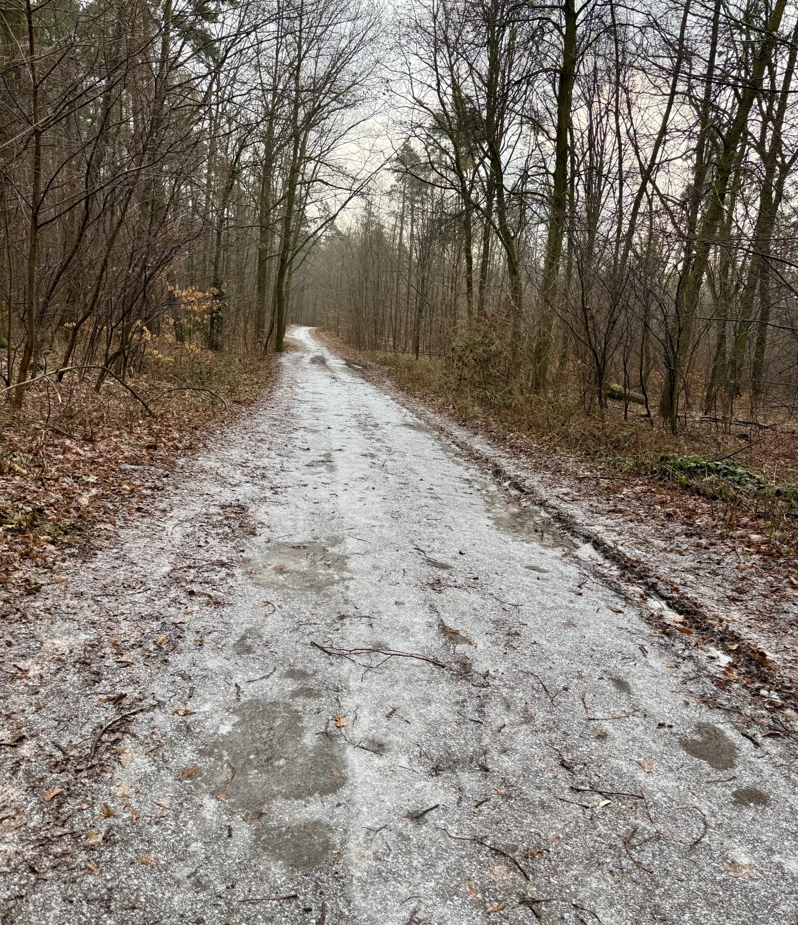 Ich höre zu – ein Jahr im Schweigen