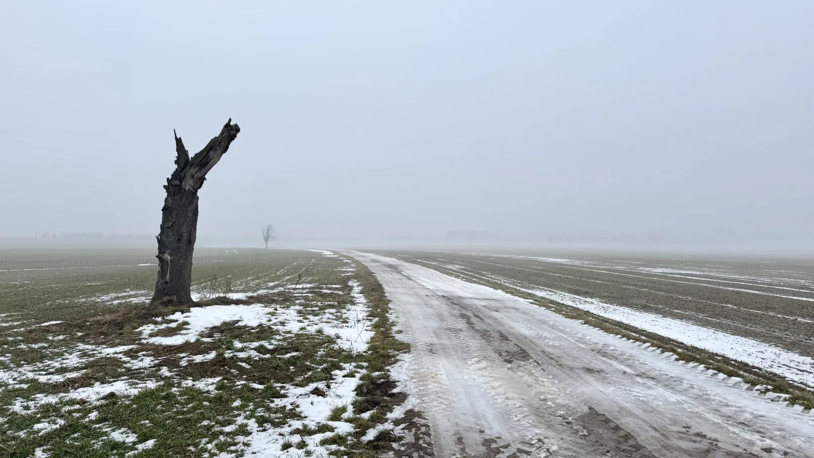 Ich höre zu – ein Jahr im Schweigen