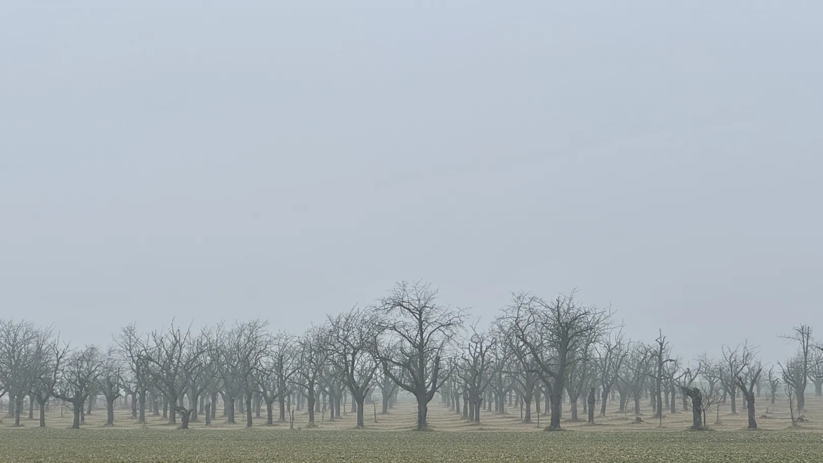 Ich höre zu – ein Jahr im Schweigen