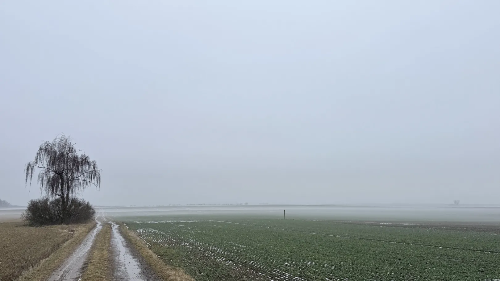 Ich höre zu – ein Jahr im Schweigen