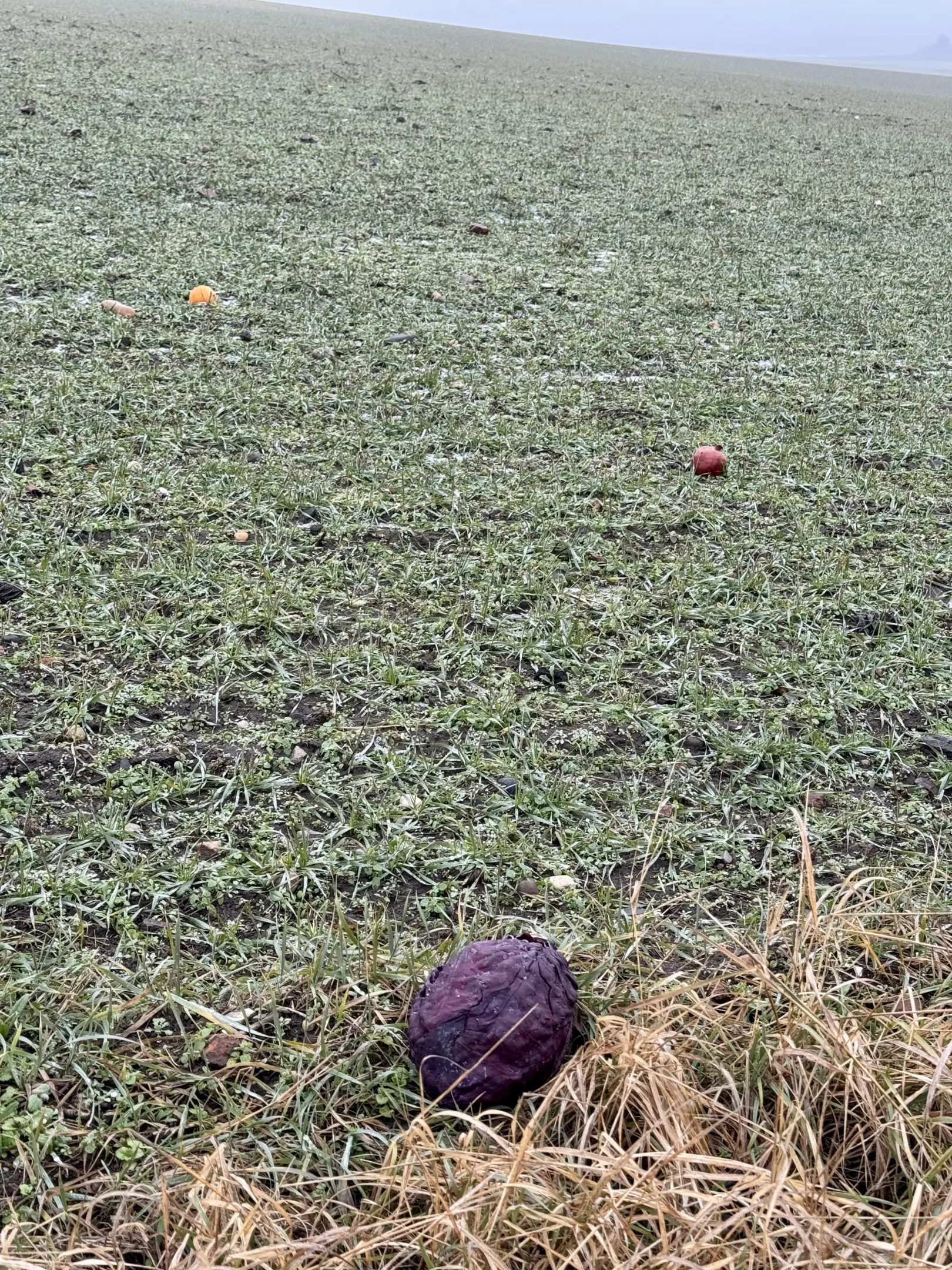 Ich höre zu – ein Jahr im Schweigen