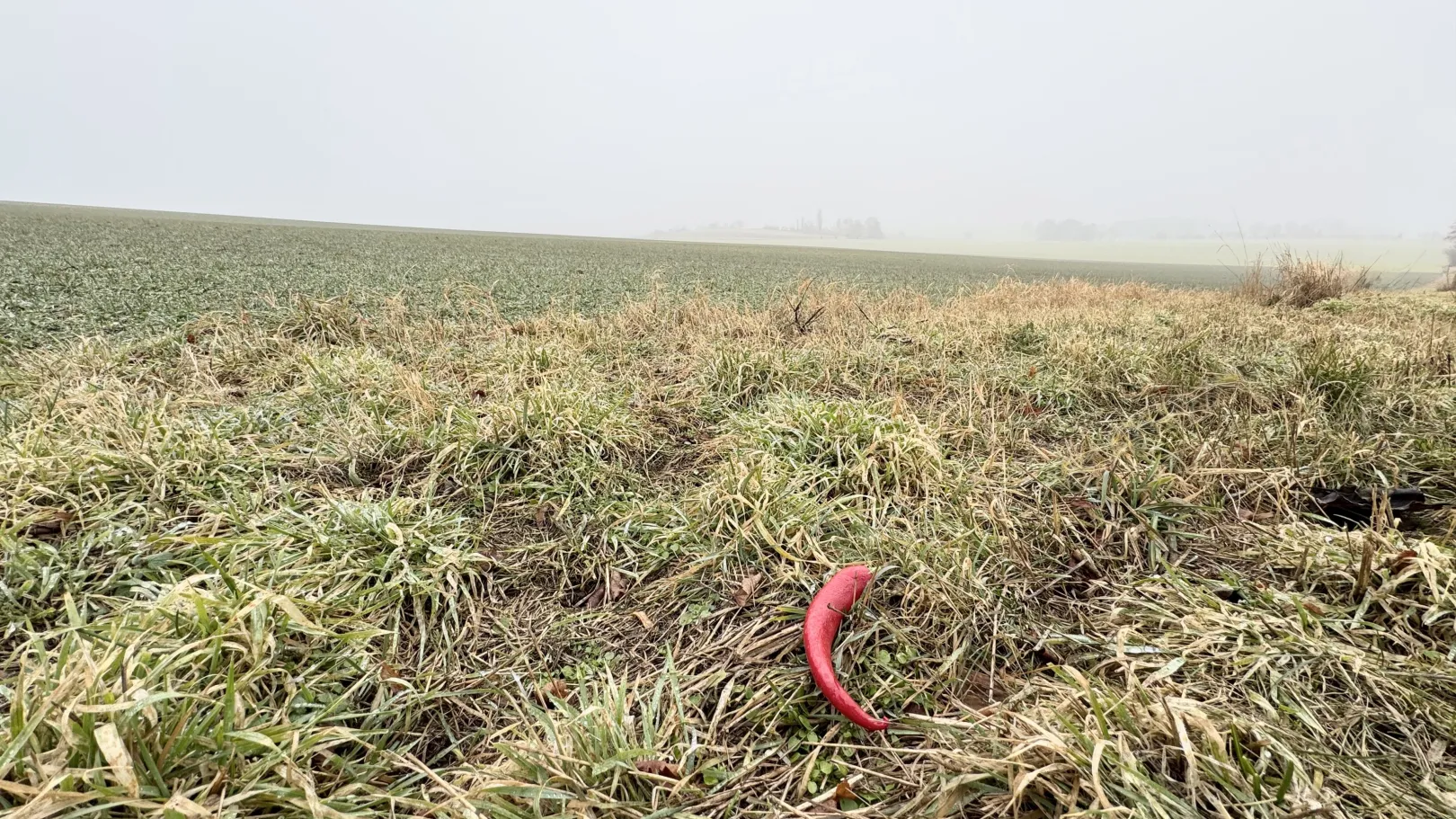 Ich höre zu – ein Jahr im Schweigen