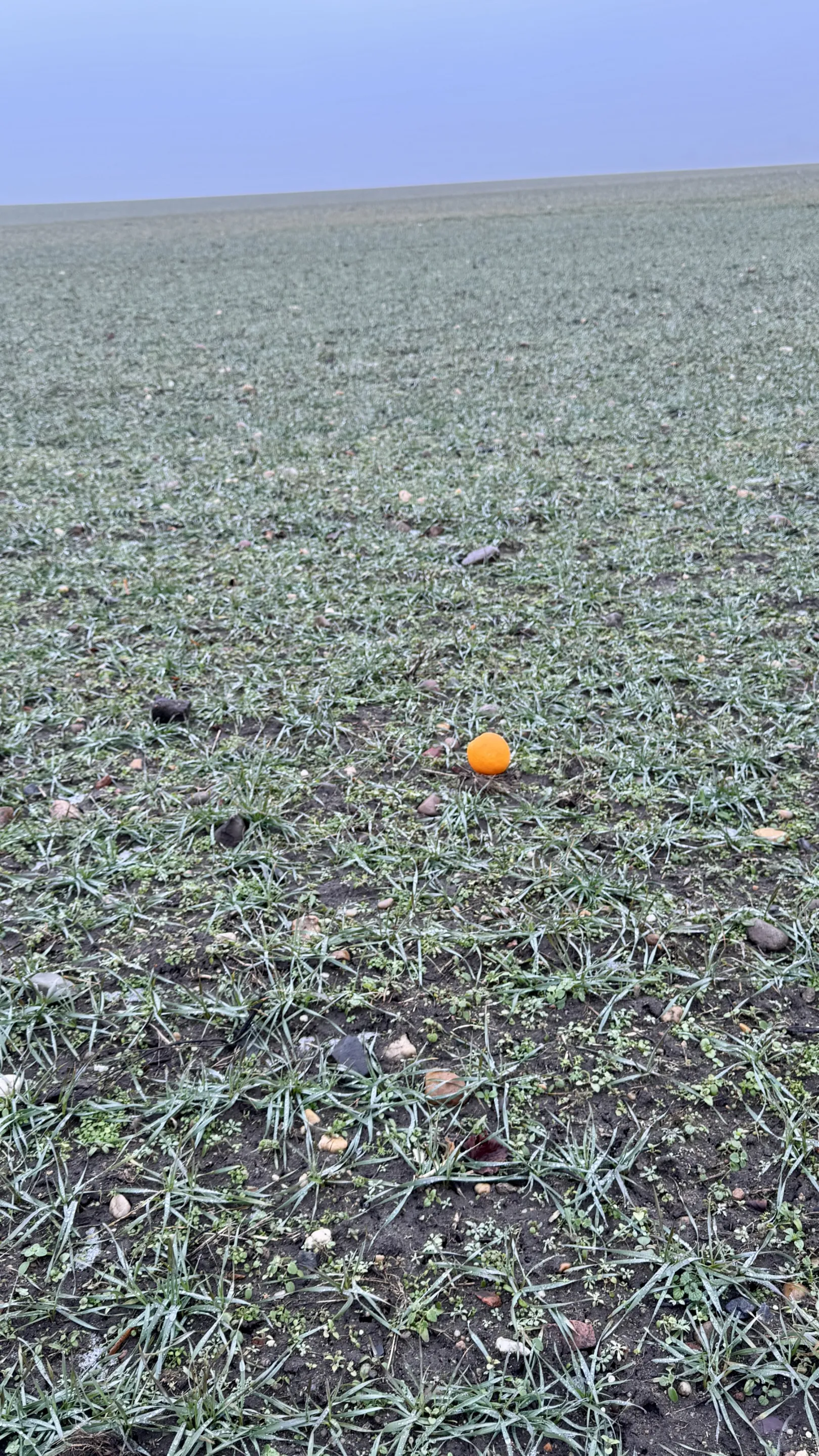 Ich höre zu – ein Jahr im Schweigen